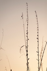 Similar image 8009478