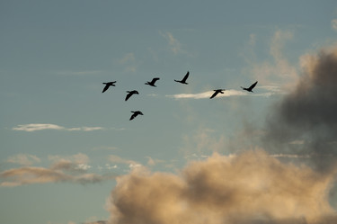 Similar image 8009480