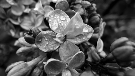 Similar image 8009488