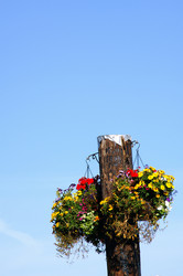 Similar image 8009498