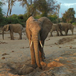 Similar image 8009500