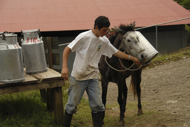 Similar image 8009501