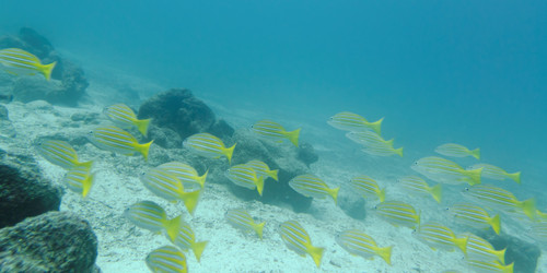 Similar image 8009502