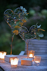 Similar image 8009506