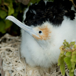 Similar image 8009510