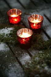 Similar image 8009513