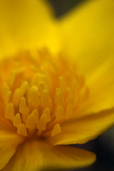 Similar image 8009541