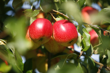 Similar image 8009543