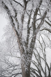 Similar image 8009562