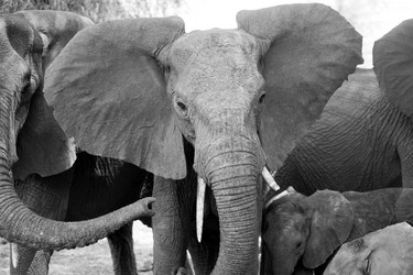 Similar image 8009563