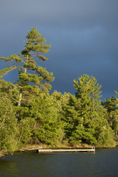 Similar image 8009569