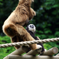 Similar image 8009570