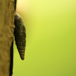 Similar image 8009598