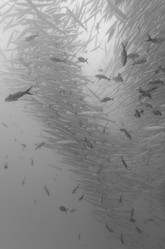 Similar image 8009615