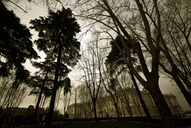 Similar image 8009620