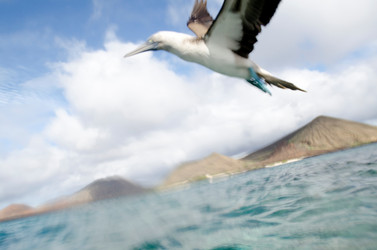 Similar image 8009627