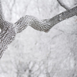 Similar image 8009633