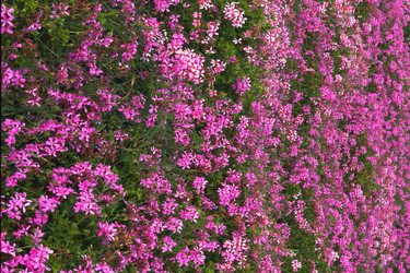 Similar image 8009636