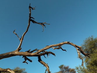 Similar image 8009643