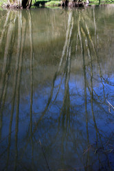 Similar image 8009648