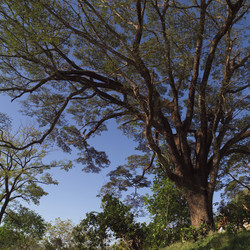 Similar image 8009677