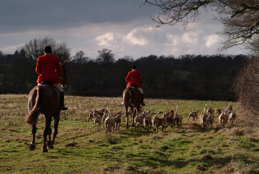 Similar image 8009678