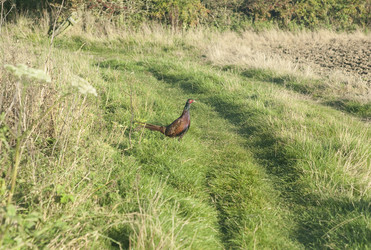 Similar image 8009689