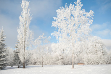 Similar image 8009693