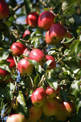 Similar image 8009700