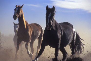 Similar image 8009699