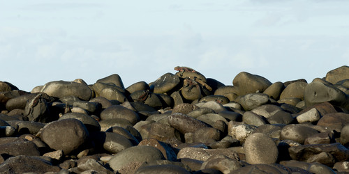 Similar image 8009701