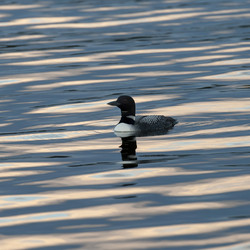 Similar image 8009704