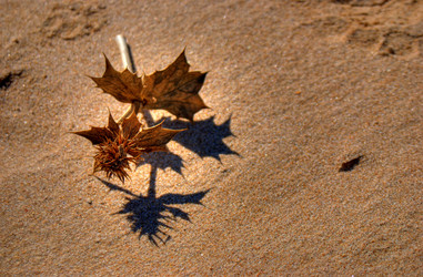 Similar image 8009736