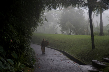 Similar image 8009754