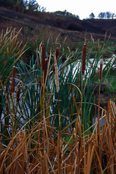 Similar image 8009757