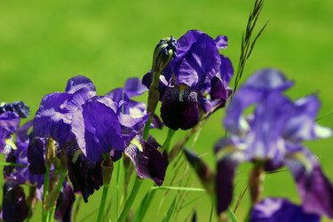 Similar image 8009758