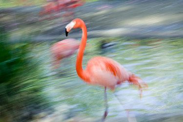 Similar image 8009759