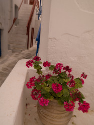 Similar image 8009762