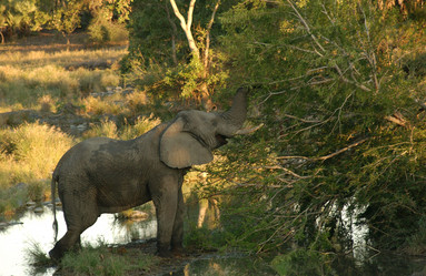 Similar image 8009765