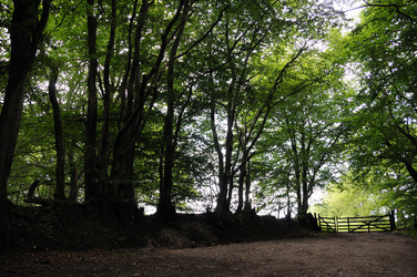 Similar image 8009766