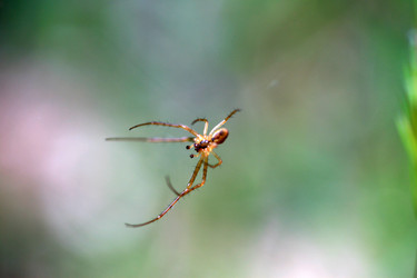 Similar image 8009769