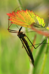 Similar image 8009773