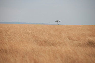 Similar image 8009778