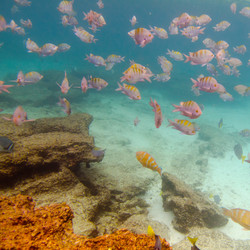 Similar image 8009780