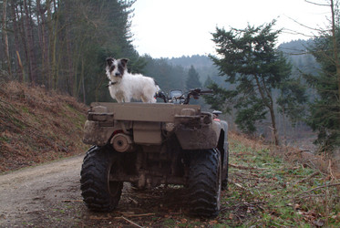 Similar image 8009782