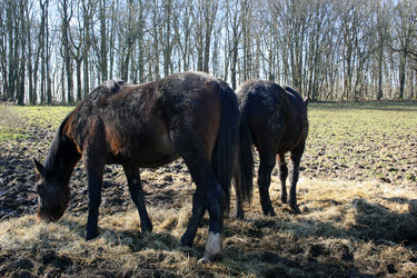 Similar image 8009783