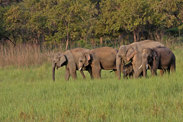 Similar image 8009787