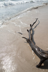 Similar image 8009792