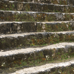 Similar image 8009796