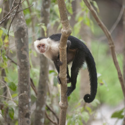 Similar image 8009800